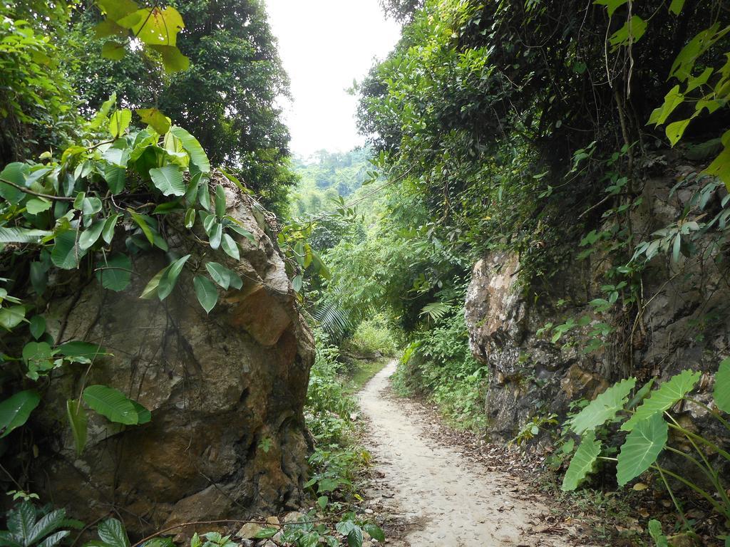 Ba Be Lake Homestay - Quynh Chi Luaran gambar